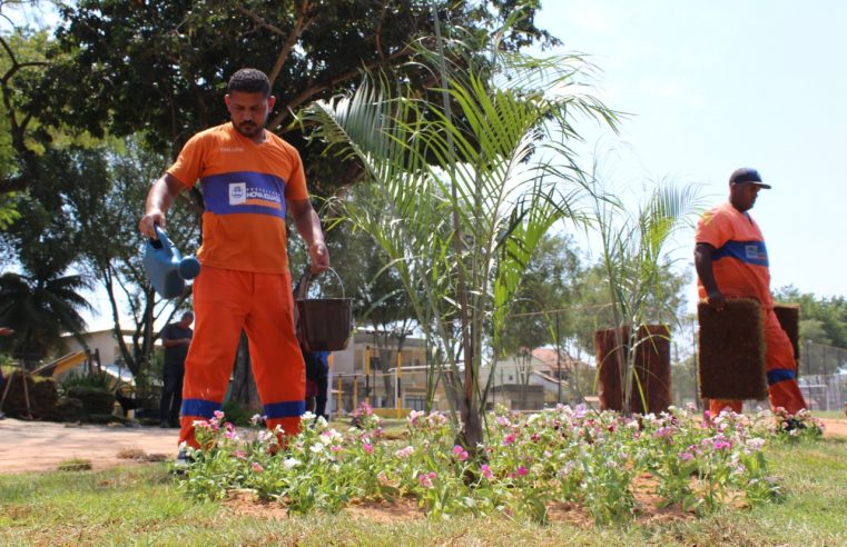 Emlurb transforma lixeira  em jardim em Corumbá