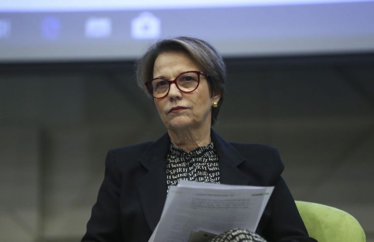 Agronegócio brasileiro é o mais  sustentável do mundo, diz ministra