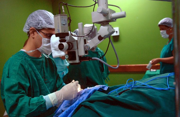 Ministério da Saúde quer zerar fila  de espera por cirurgias eletivas