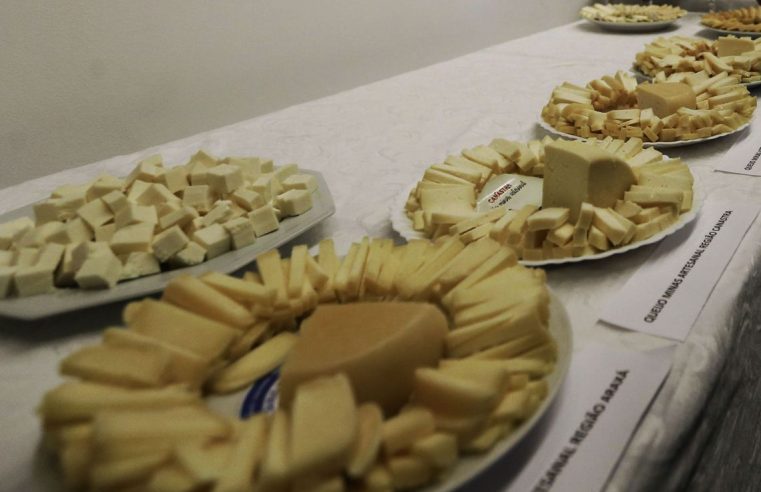 Definidas regras para venda de  queijo artesanal em todo o país