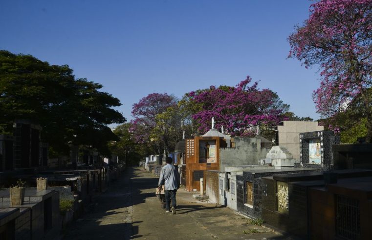 Associação Brasileira de funerárias solicita que governos revisem as normas impostas para enterros das vítimas da Covid-19