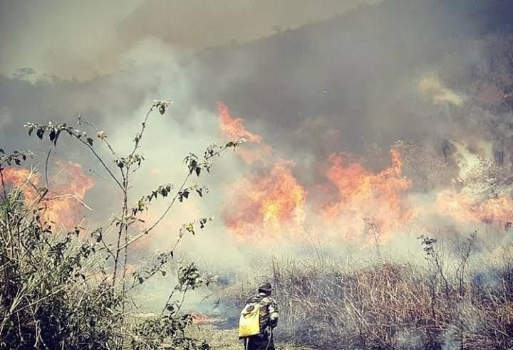 Nova Iguaçu lança Disque Queimada para  população denunciar incêndios florestais