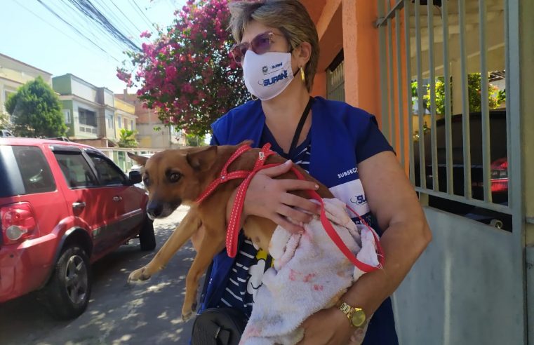 Equipe resgata cadela que sofria  maus-tratos em Nova Iguaçu