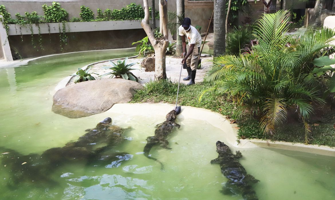 BioParque do Rio, antigo  Jardim Zoológico, é inaugurado