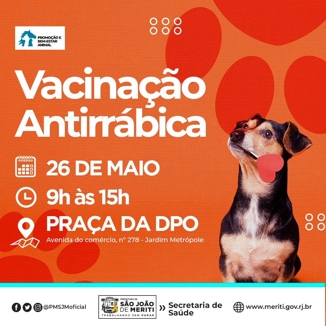 Meriti segue campanha de  vacinação antirrábica animal