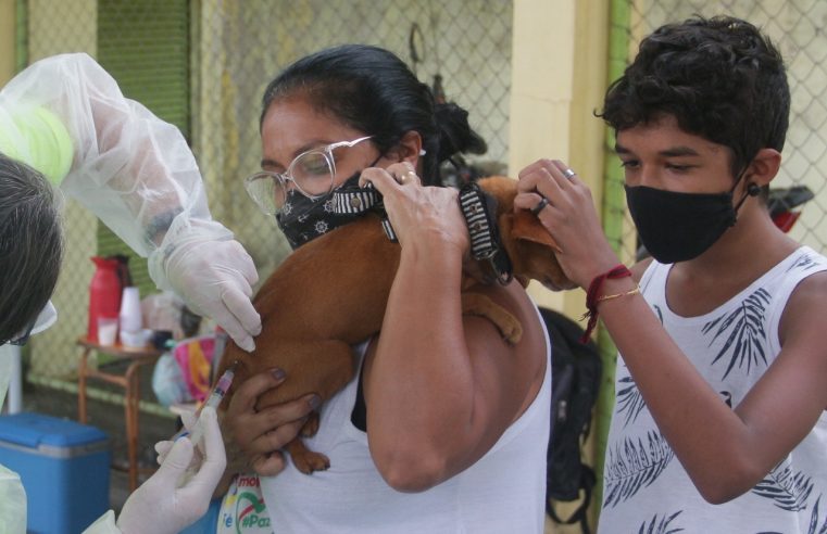 Prefeitura de Nova Iguaçu está agendando vacinação  antirrábica para canis e protetores de animais
