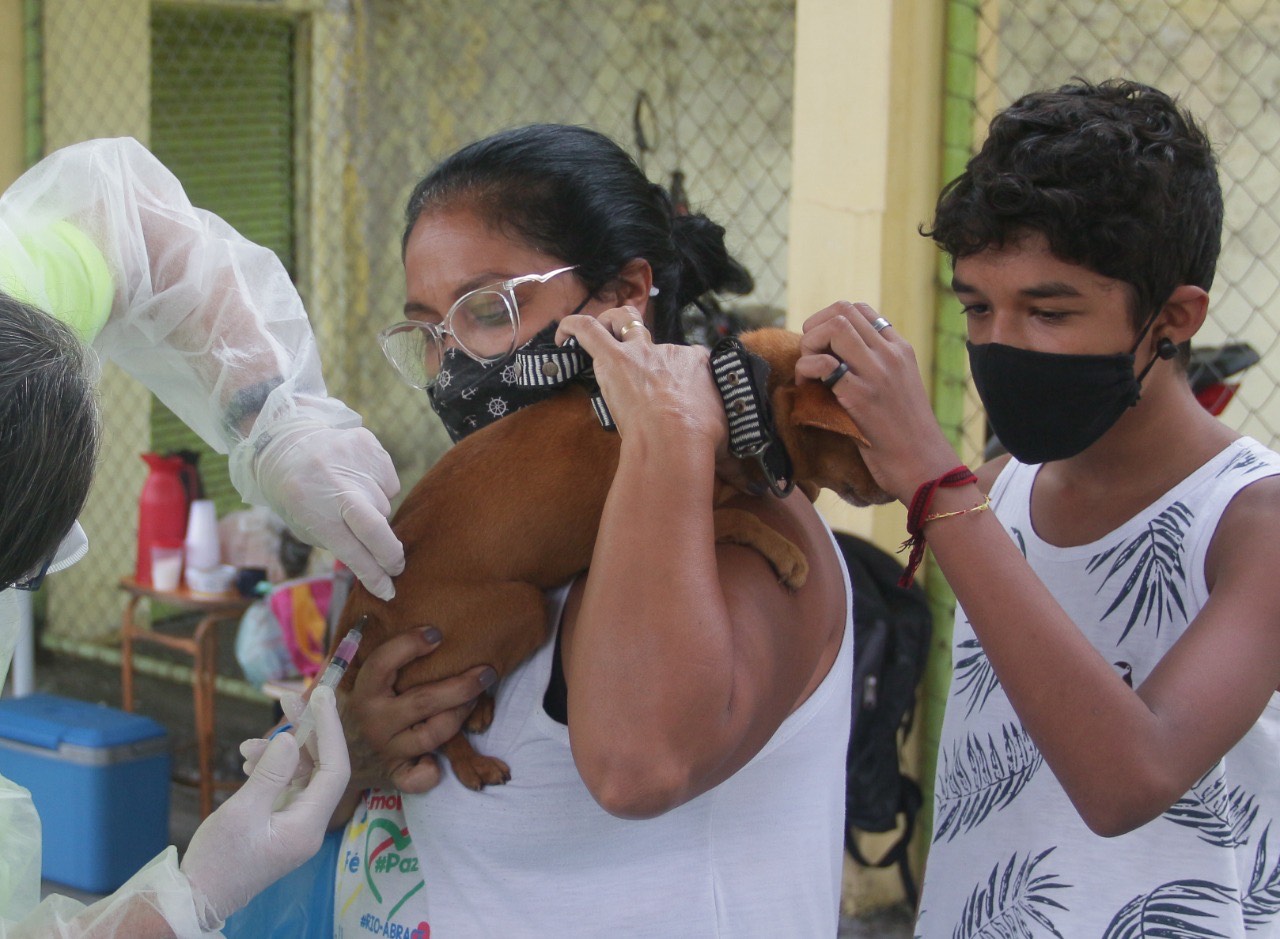 Prefeitura de Nova Iguaçu está agendando vacinação  antirrábica para canis e protetores de animais