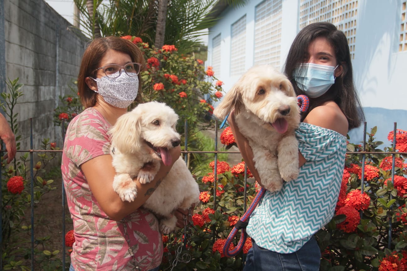 Nova Iguaçu vacina mais de  82 mil cães e gatos contra a raiva