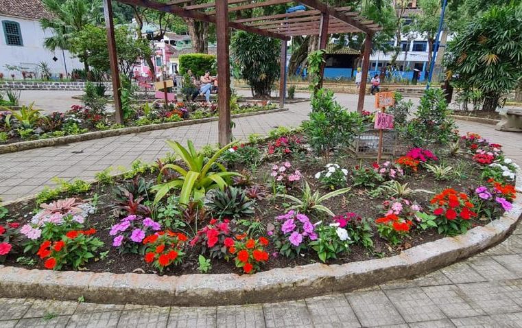 Jardins Colaborativos unem moradores de Mangaratiba