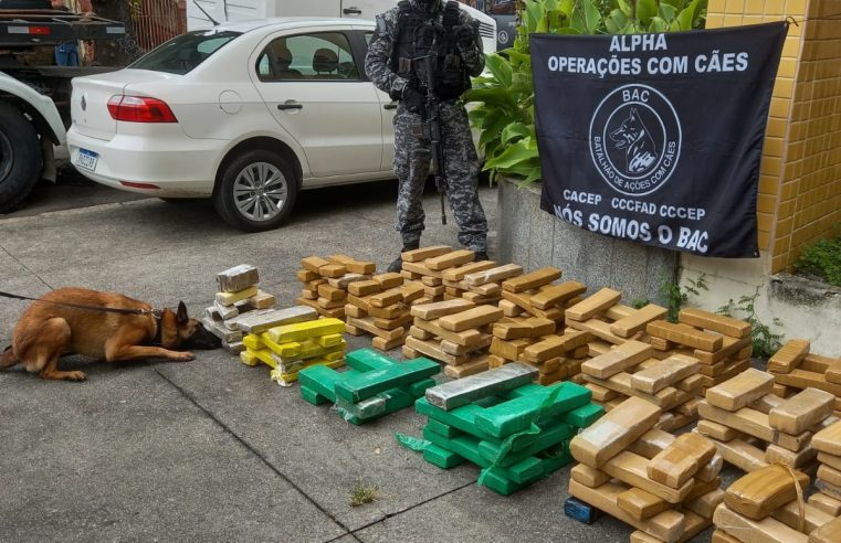 Polícia Militar dá mais de 3 milhões de reais em prejuízo ao crime organizado do Jacarezinho
