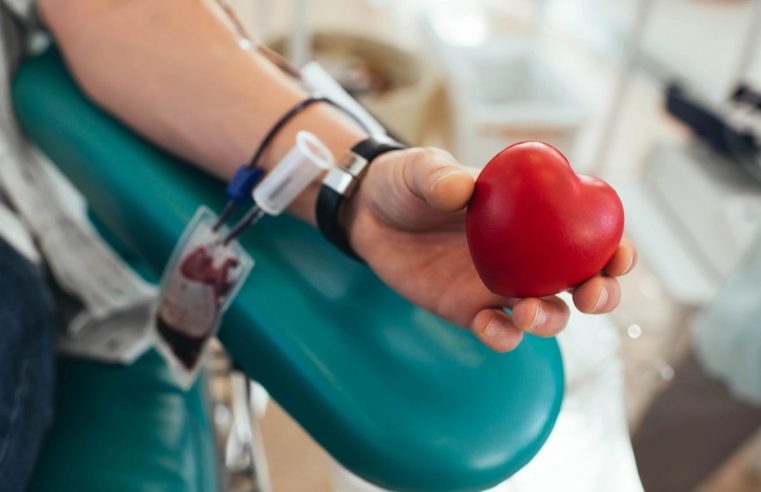 Alerj aprova meia-entrada em eventos para doadores de sangue