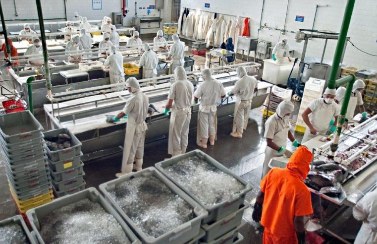 Lei sancionada pelo governador motiva ampliação e modernização de parque industrial de pescado no RJ