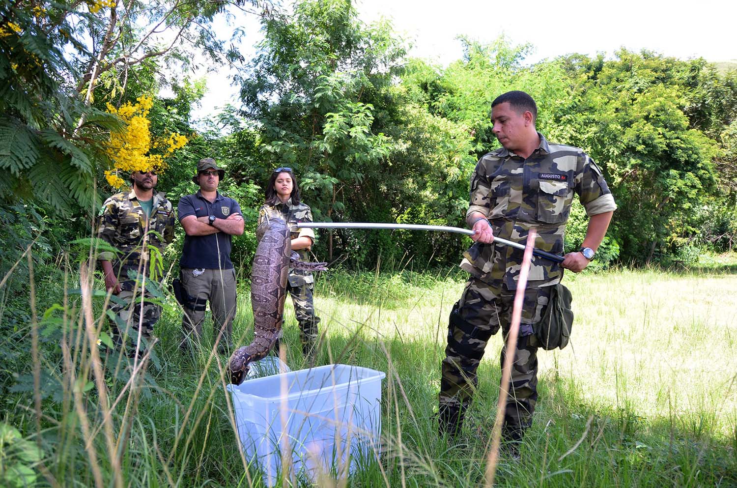 Guarda Municipal Ambiental de Nova Iguaçu resgata jiboia em casa de morador