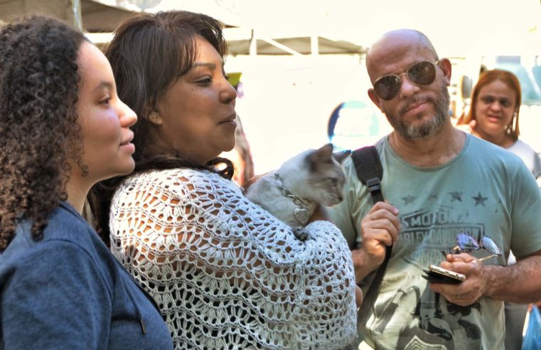 Feira de Adoção de Cães e Gatos da Prefeitura de Nova Iguaçu atrai apaixonados por pets