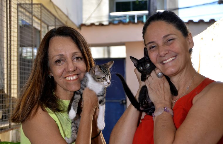Nova Iguaçu fará feira de adoção de animais