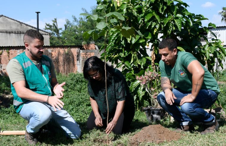 Nova Iguaçu lança projeto ‘Arborizando Minha Rua’ para plantar mais árvores na cidade