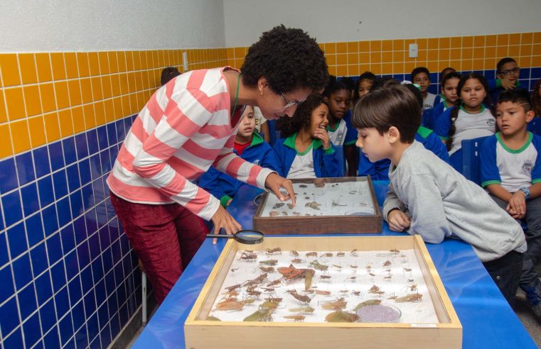 Exposição de insetos desperta curiosidade de alunos em Japeri