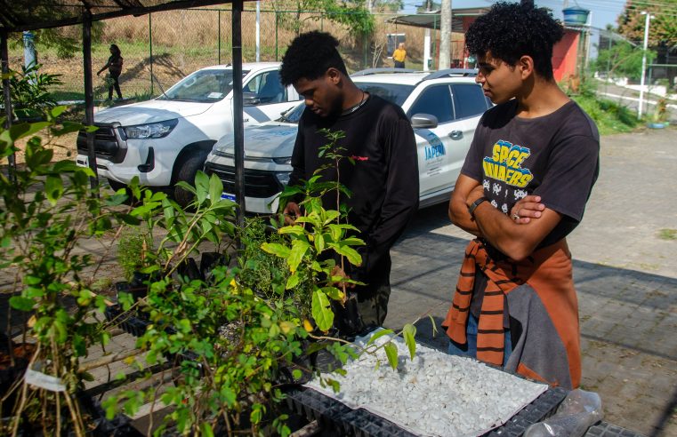 Estudantes produzem horta suspensa em Japeri