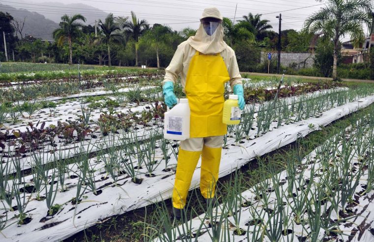 Prefeitura de Magé encerra campanha de recolhimento de embalagens vazias de agrotóxicos