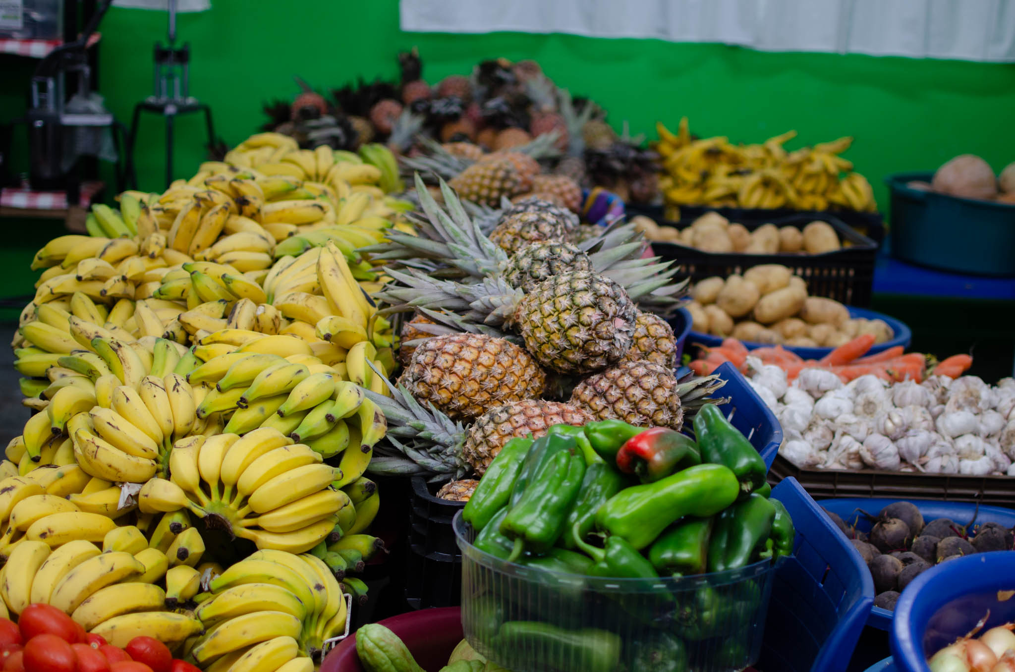 Japeri abre chamada pública para aquisição de alimentos da agricultura familiar
