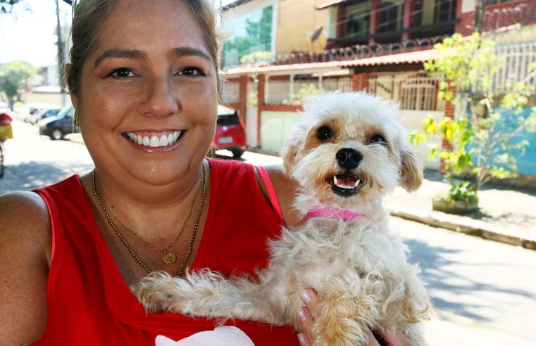 Cadela resgatada pela Prefeitura de Nova Iguaçu após temporal ganhará novo lar