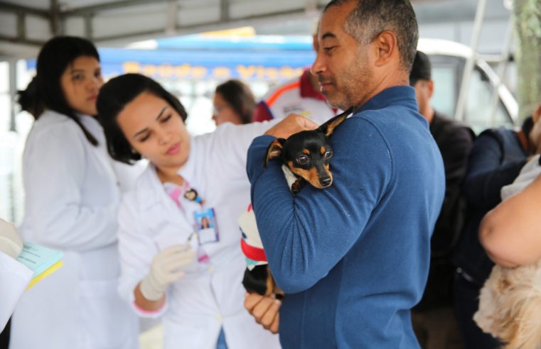 Campanha de vacinação antirrábica em Duque de Caxias